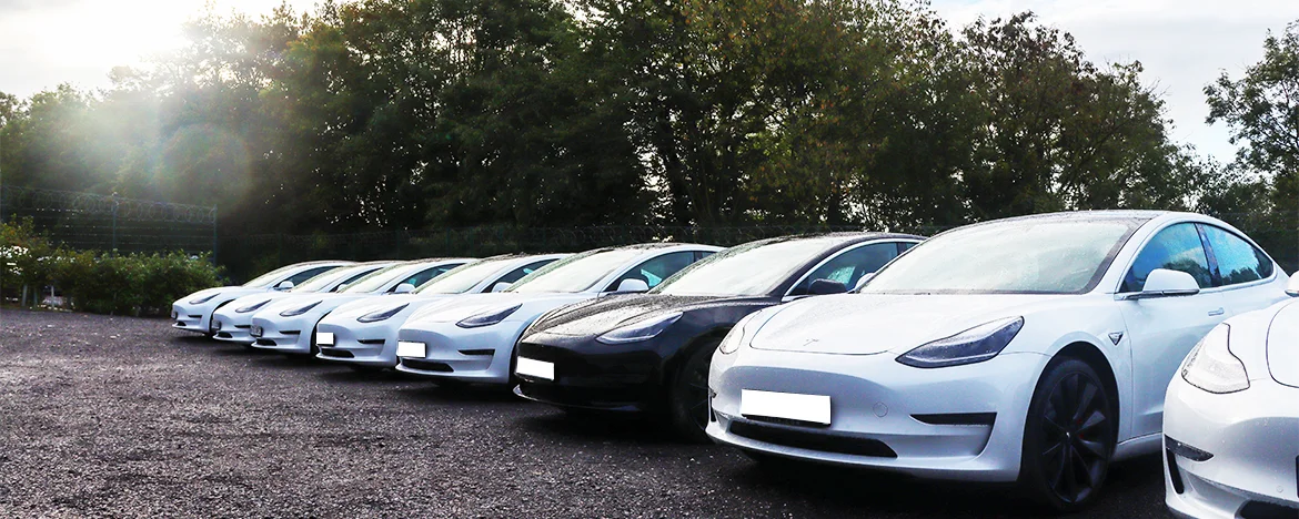 Tesla Model 3 line-up